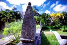 1-11-2016 Palm Beach     37Small_2302CMA  1-11-17.JPG