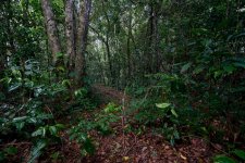 DSC_3442.jpg