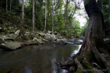 DSC_3455.jpg