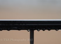 TBS_6913-2.jpg