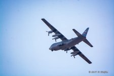 D73_0360-2.jpg