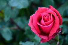 DSC_4957.jpg