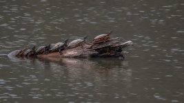 _DSC7388-Edit.jpg
