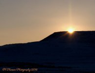 Sunset Star 1-14-2017.jpg