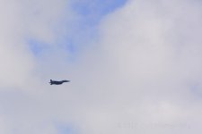 1-14-17-cr__D7K5412.jpg