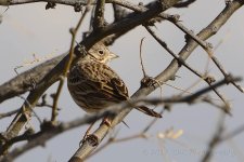 1-14-17-cr__D7K5417.jpg