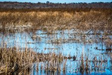 D73_0373-2.jpg