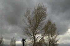 1-15-17-cr_DSC_4522.jpg