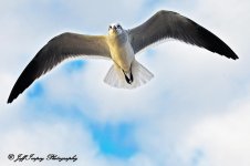 DSC_3965.jpg