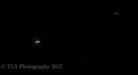 TBS_6955-2.jpg