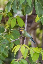 20170117-DSC_0214.jpg