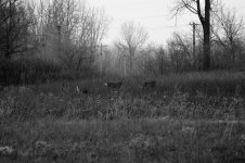 DSC_0159_01.jpg