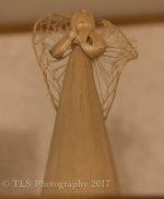 TSA_2891-2.jpg