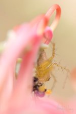 20170118-DSC_0256.jpg