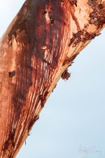 20170118-DSC_0275.jpg