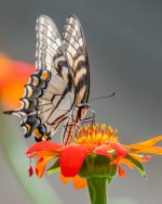 DSC_3280-1.jpg