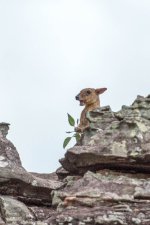 20170119-DSC_0449.jpg