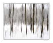 DSC_7496-Modifier.jpg