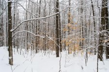 DSC_7524.jpg