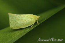 DSC_3639.jpg