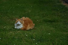 DSC_5239.jpg