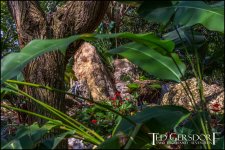 1-21-17 Arboretum  LR 1 (1 of 1)-12.jpg