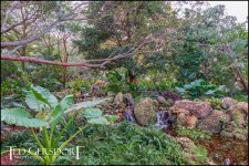 1-21-17 Arboretum  LR 1 (1 of 1)-13.jpg