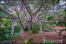 1-21-17 Arboretum  LR 1 (1 of 1)-10.jpg