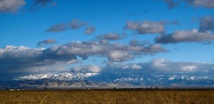 1-21-17-cr_DSC_4613.jpg