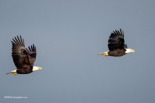 P1200145-2.jpg
