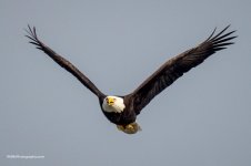 P1200185-2.jpg