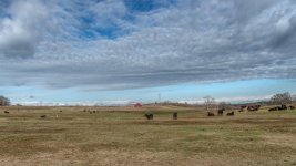 _DSC7533-Edit.jpg
