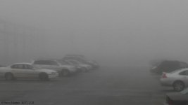20170122_084954.jpg