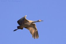 1-22-17-cr__D7K5507.jpg