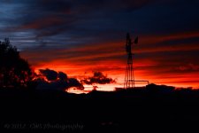 1-23-17-cr_DSC_4620.jpg