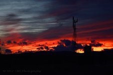 1-23-17-cr_DSC_4621.jpg