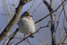 1-24-17-cr__D7K5519.jpg