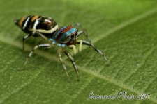 DSC_3664.jpg