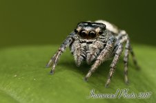 DSC_3677.jpg