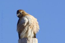 1-25-17-cr__D7K5531.jpg