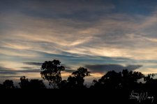 20170126-DSC_1148.jpg
