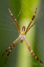 20170125-DSC_1060.jpg