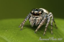 DSC_3677.jpg