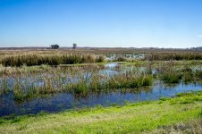 DSC04810-2.jpg
