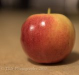 TSA_2902-2.jpg