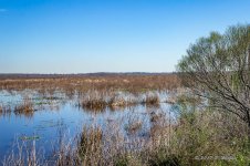 DSC04821-2.jpg