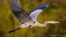 DSC_6648.jpg