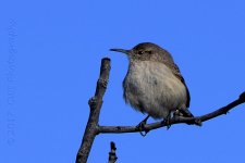 1-28-17-cr__D7K5573.jpg