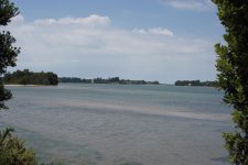DSC_5271.jpg