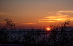 Sunset in Willard 1-28-2017.jpg
